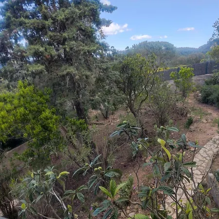 El Coto Holiday home